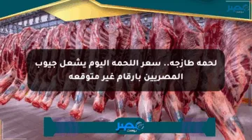 لحمة طازجة.. سعر اللحمة اليوم يشعل جيوب المصريين بأرقام غير متوقعة